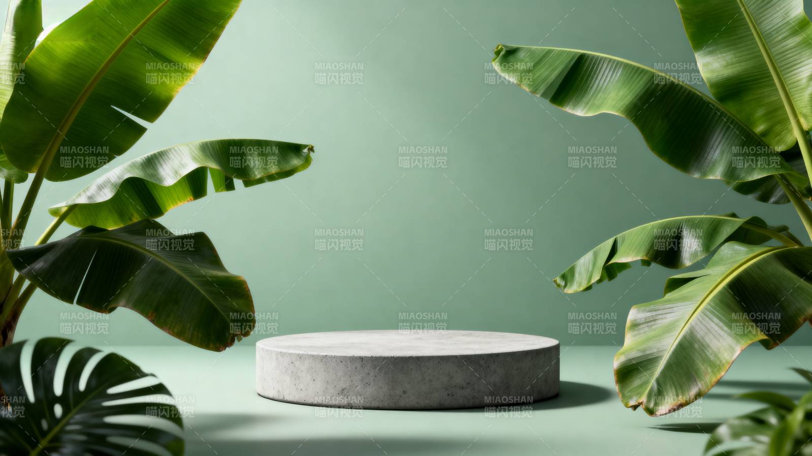 绿植环绕的简约台面图片