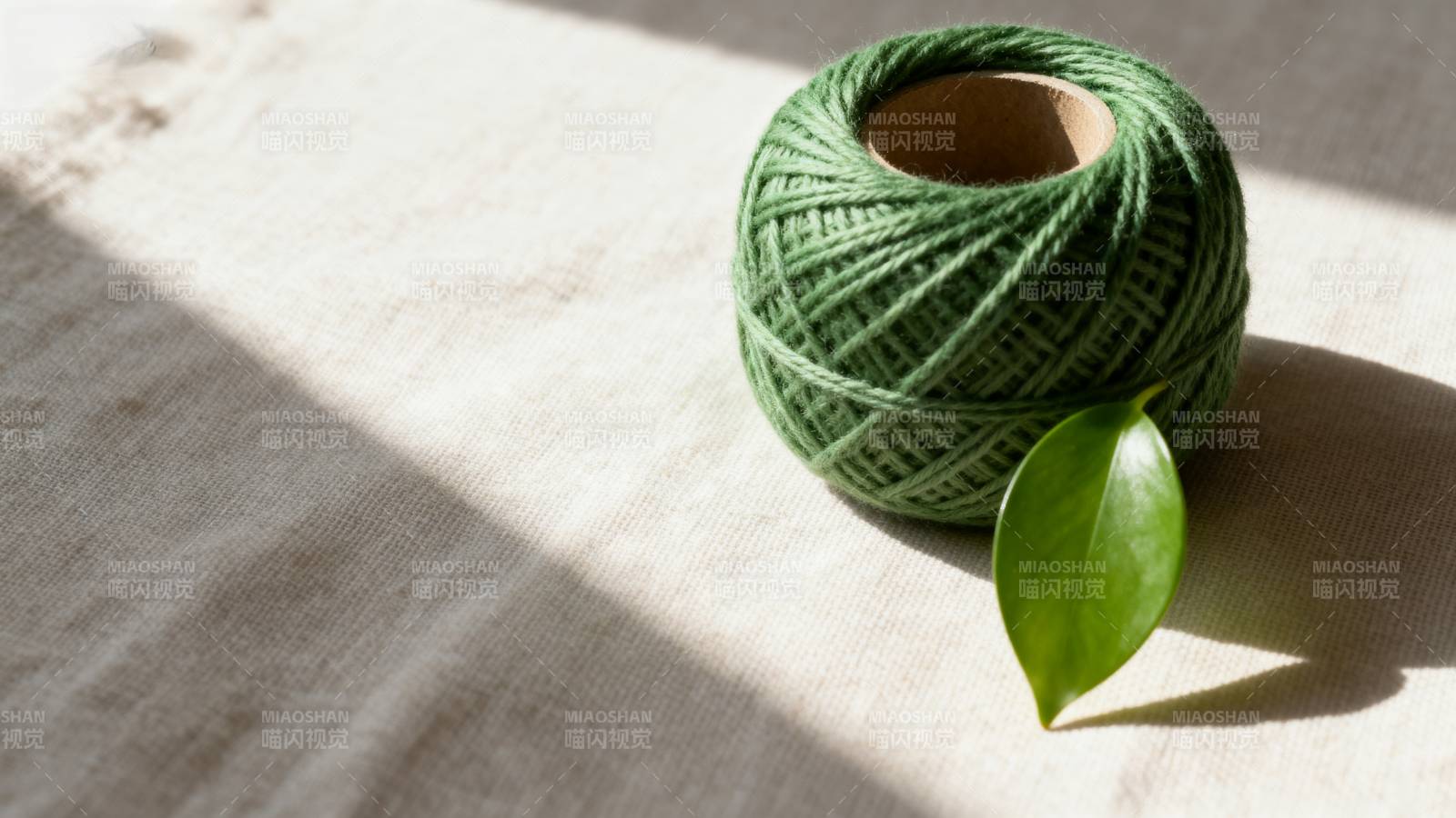 绿线与叶静物图片