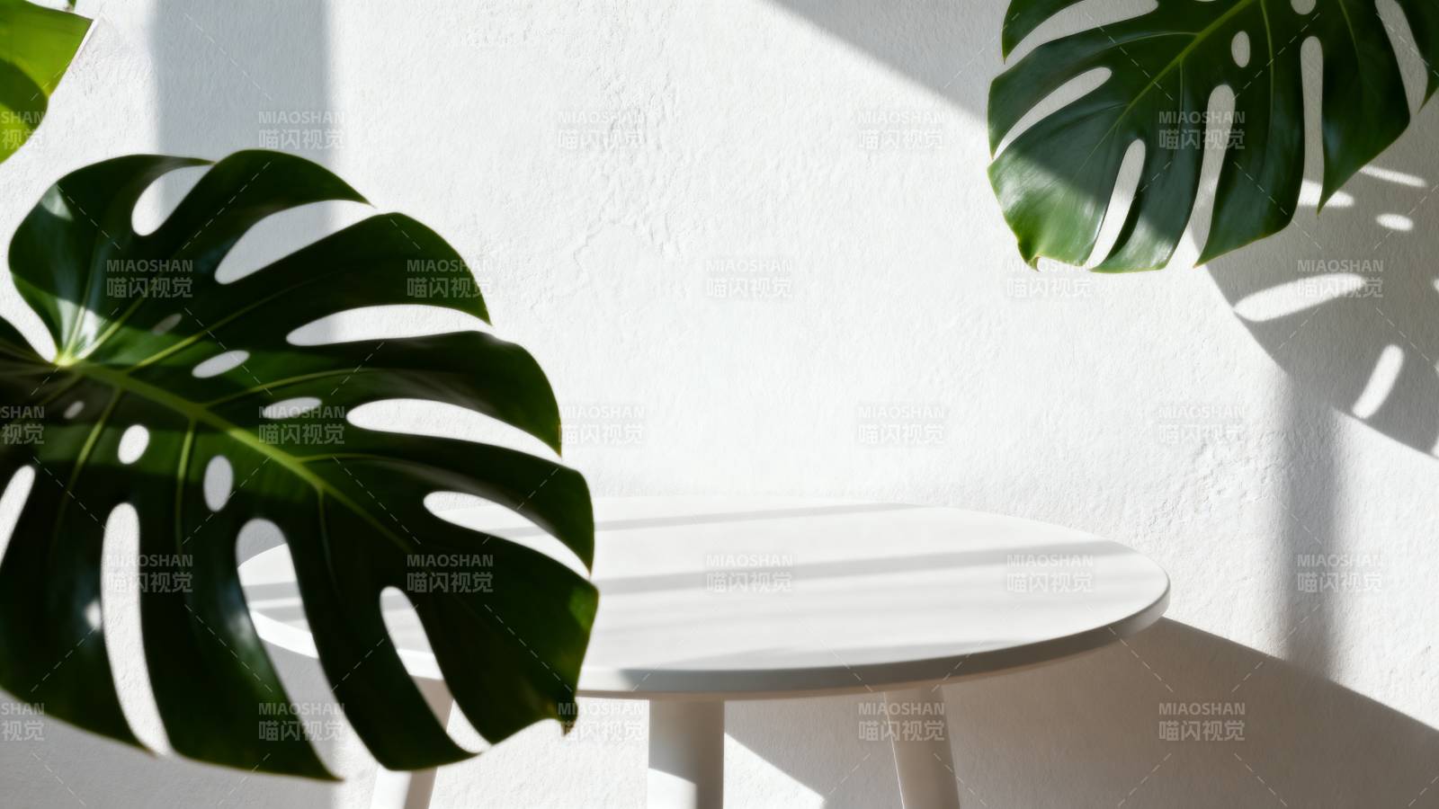 绿叶映白墙图片