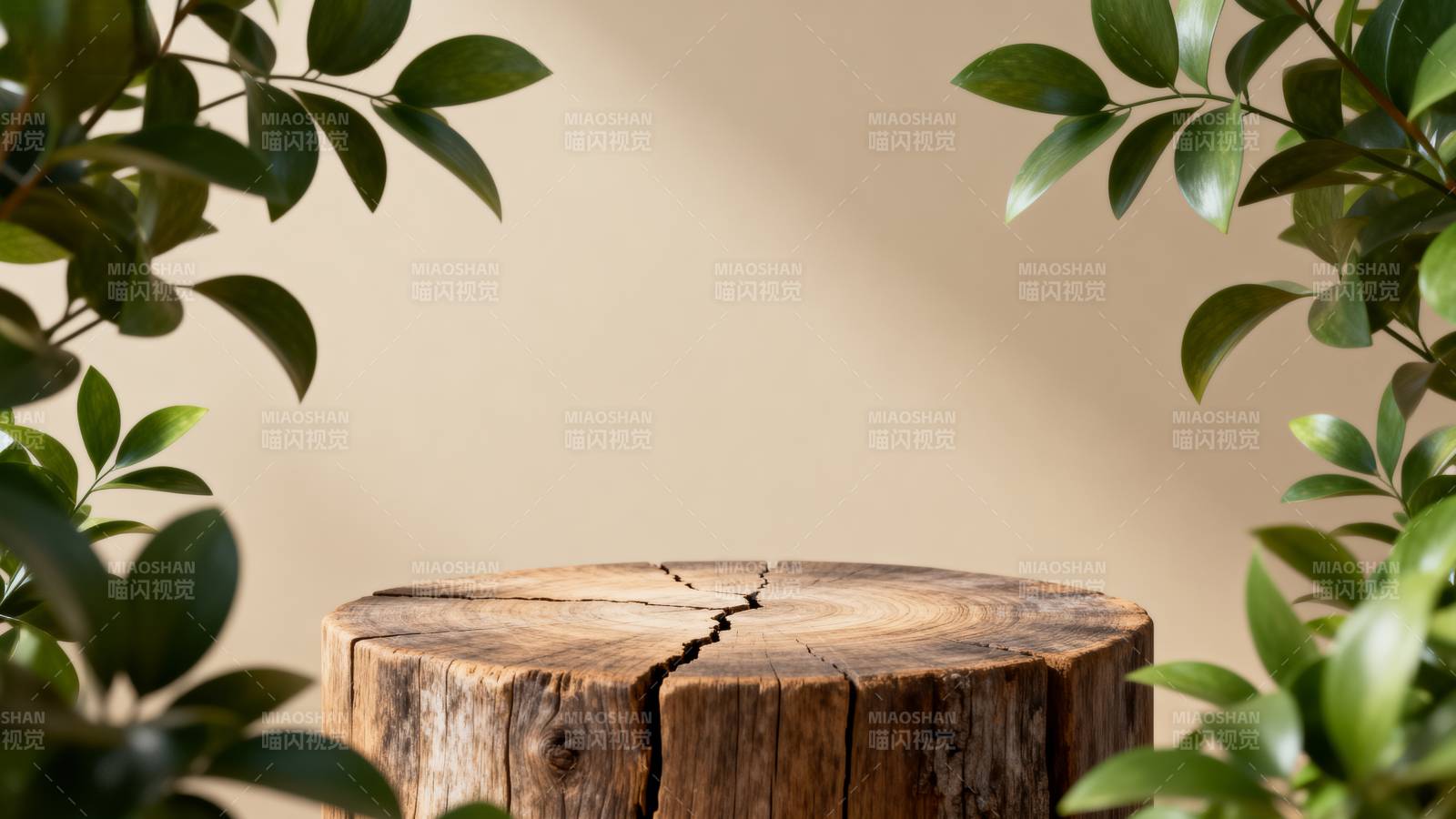 绿叶环绕木桩图片