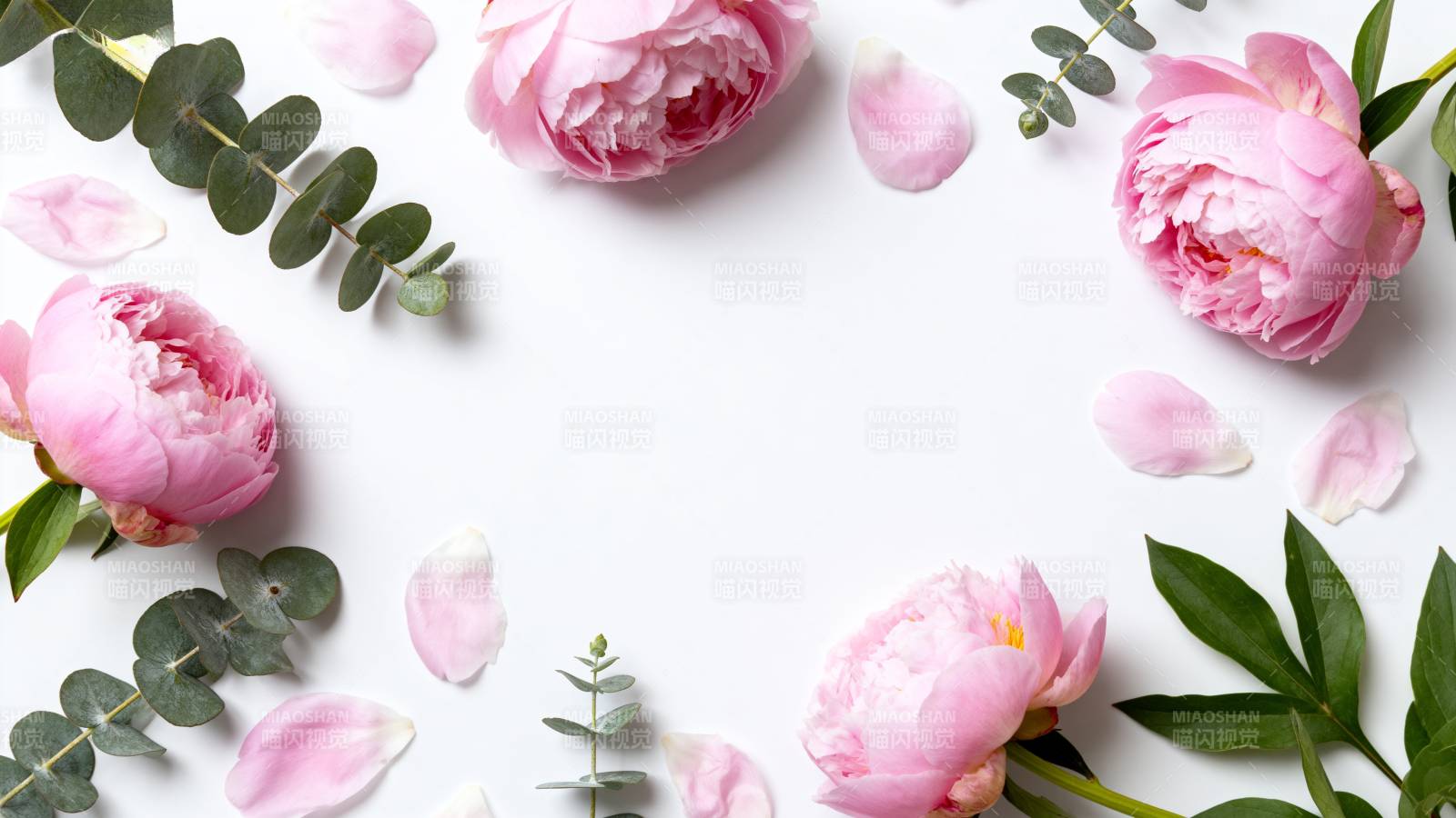 粉色玫瑰花环图片