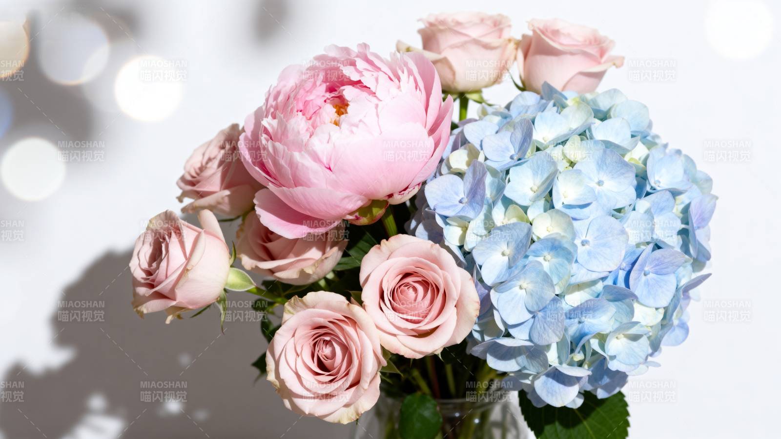 粉玫瑰与蓝绣球图片