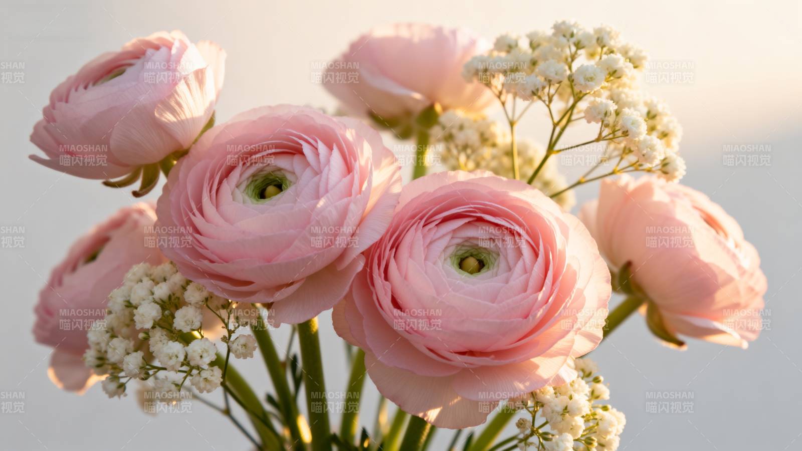 粉红花束静谧绽放图片