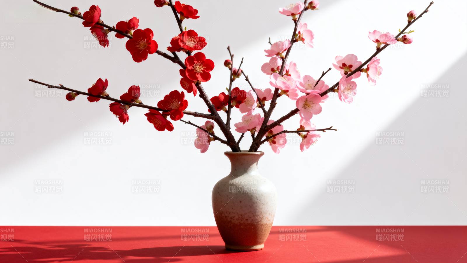 梅花绽放春意浓图片