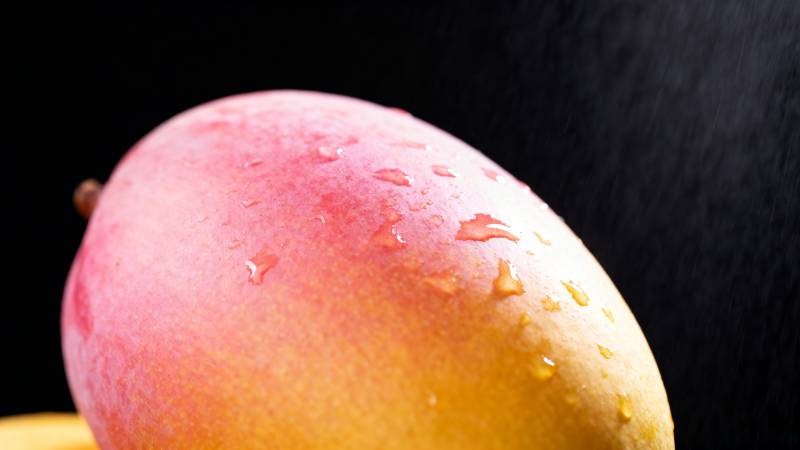 水珠芒果特写图片