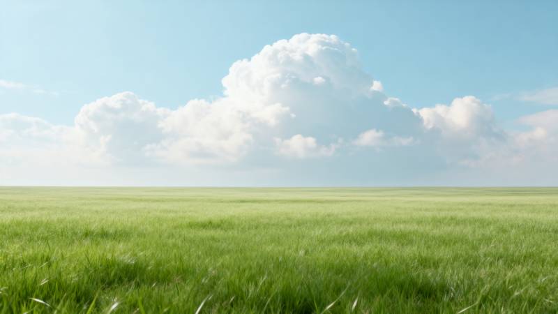 绿野蓝天白云图片