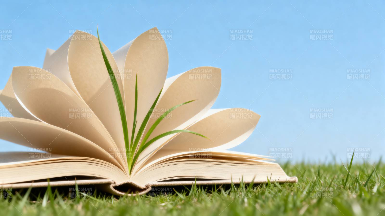 书页绽放绿意图片