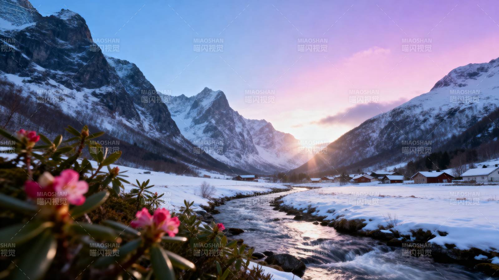 雪山日出 花映溪流图片