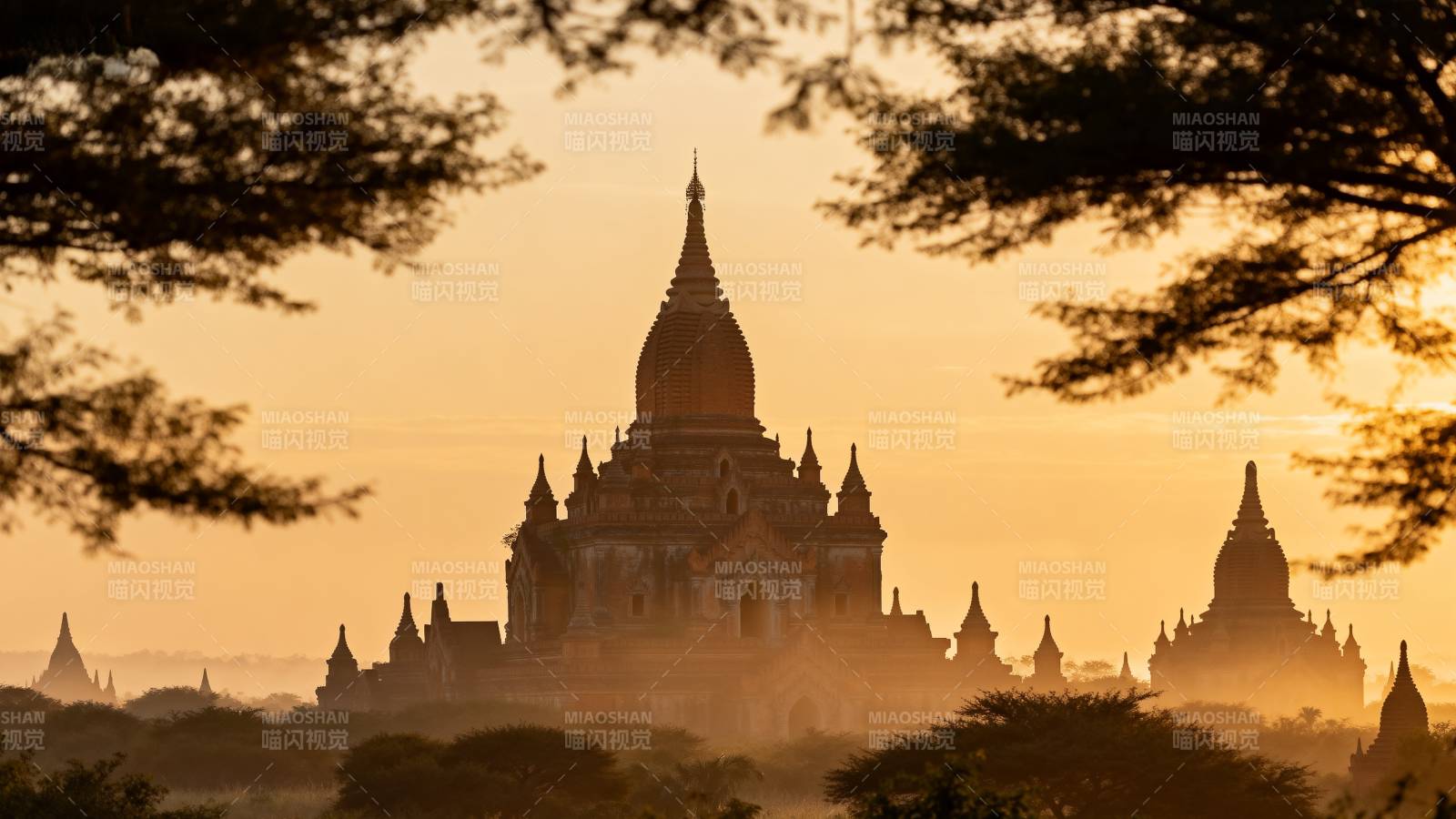 晨曦中的佛塔群图片
