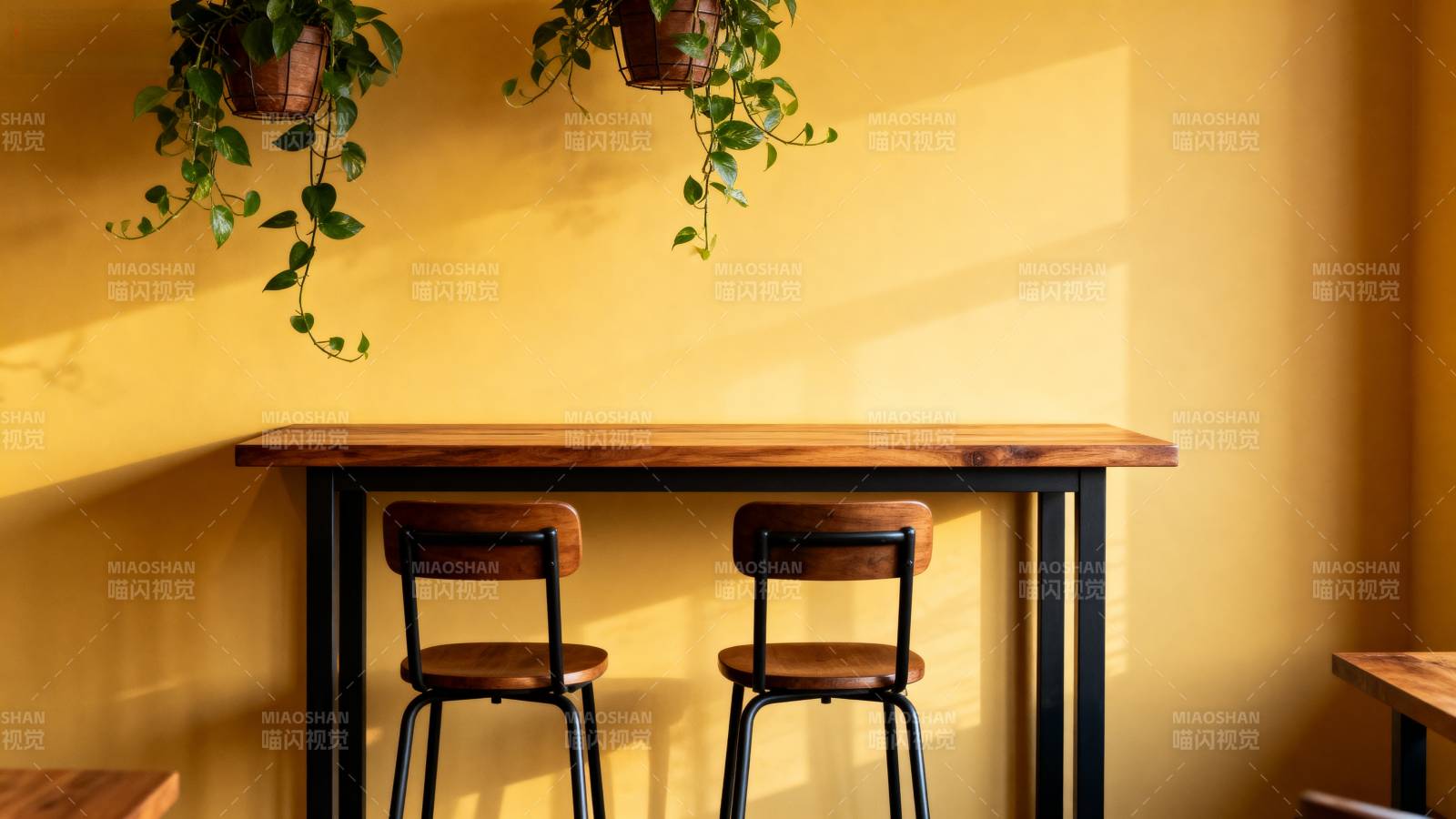 黄墙木桌绿植垂图片