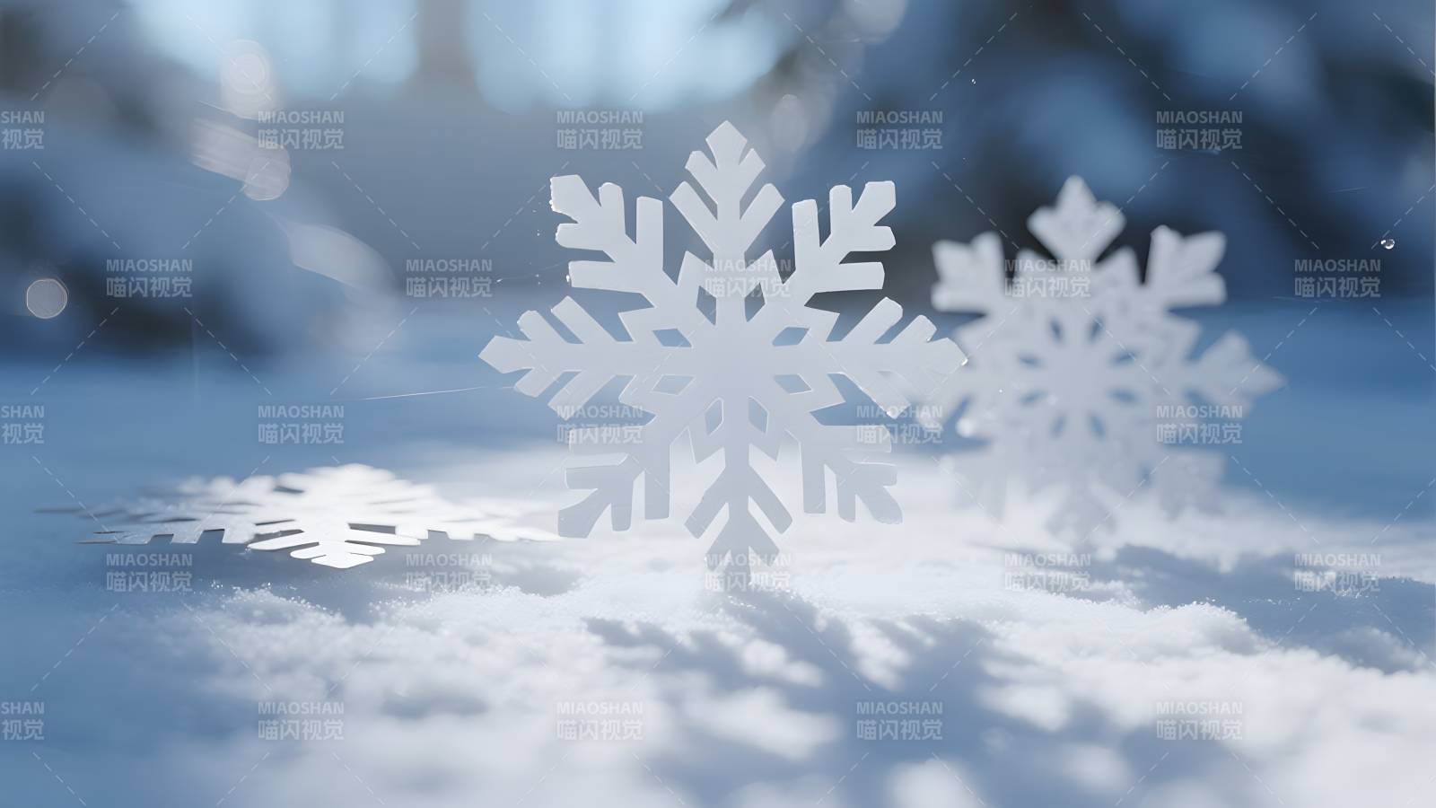 雪中晶莹雪花图片