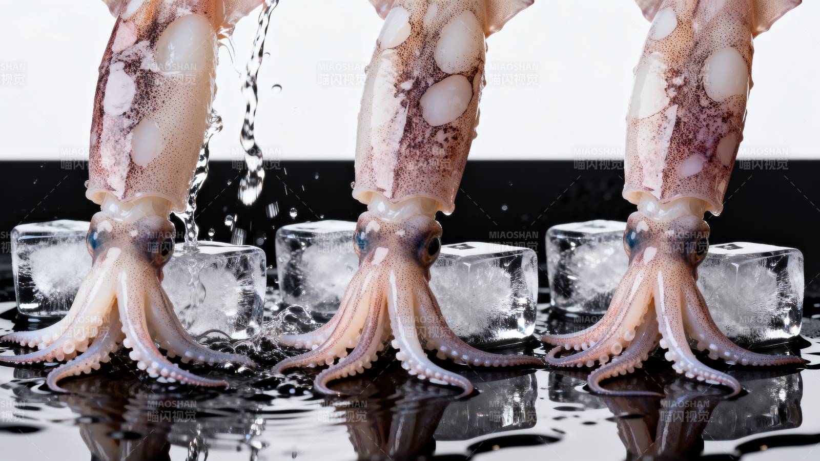 冰上章鱼 水滴垂落图片