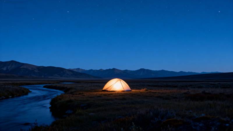 夜宿草原 星河相伴图片
