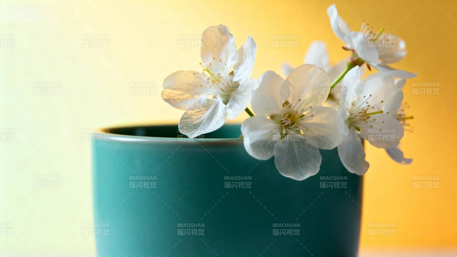 花枝入杯 春意盎然图片