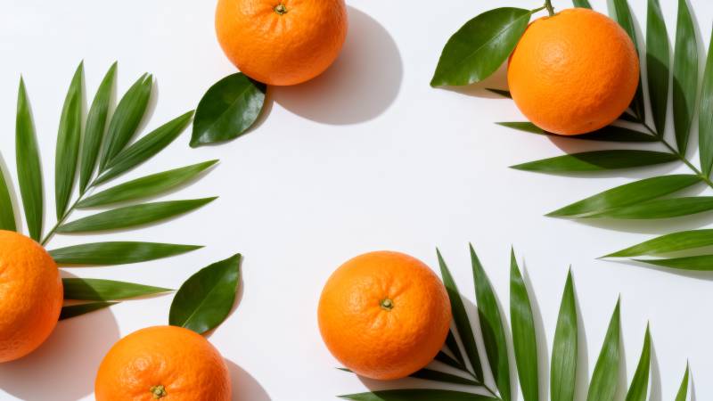 橙子与绿叶的清新组合图片