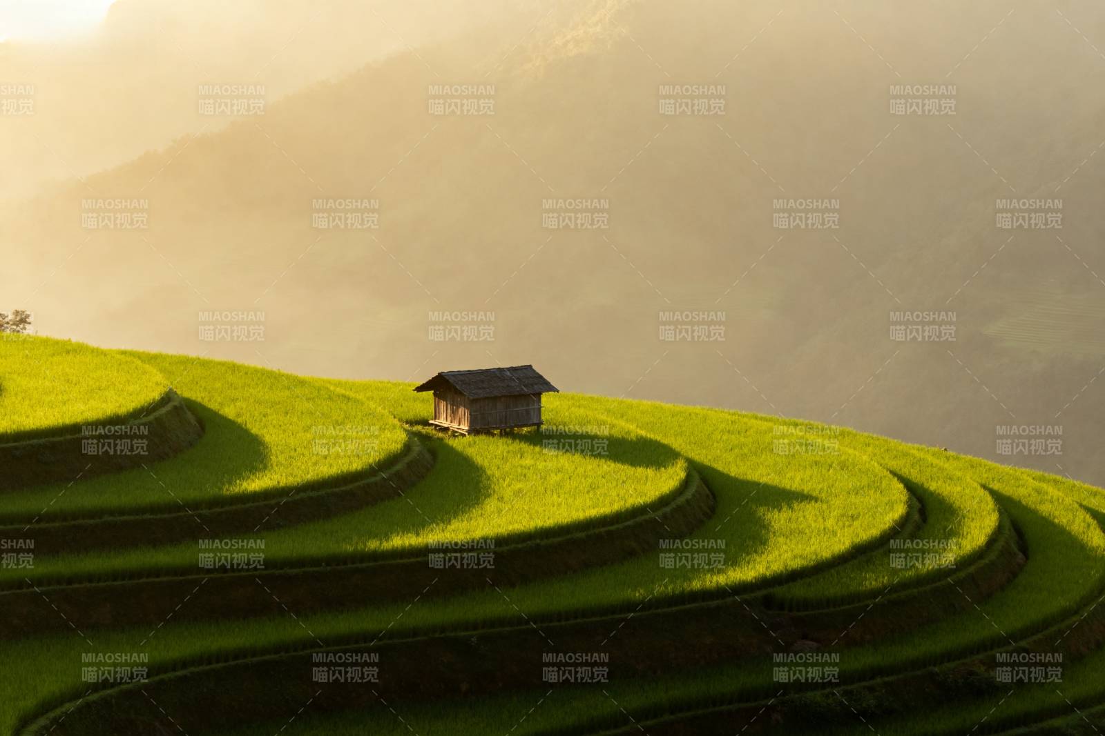 梯田晨光小屋图片