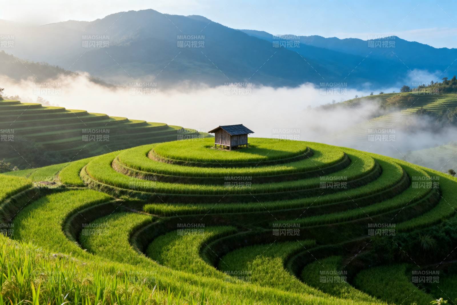 梯田晨雾小屋图片
