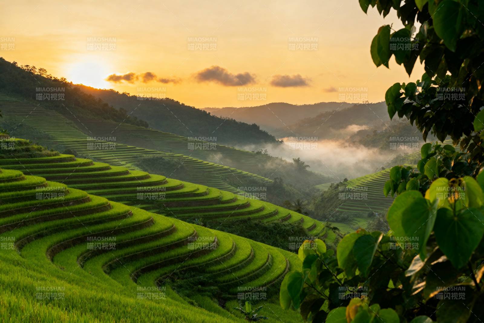 梯田晨曦图片