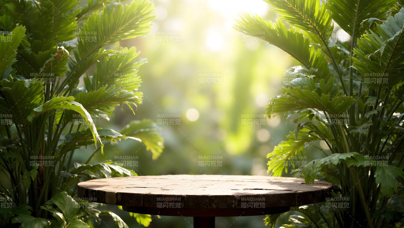 绿意盎然的木桌图片