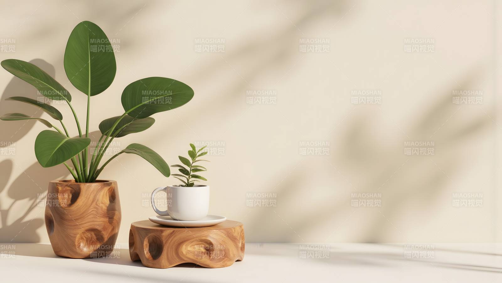 绿植与咖啡杯静物图片