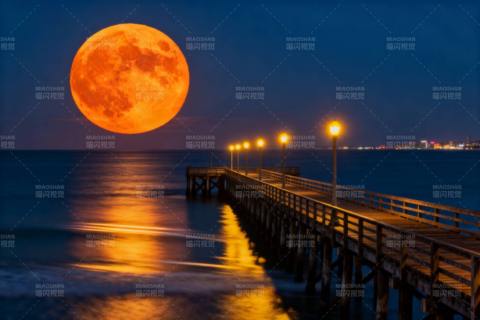 月升海港夜景图片