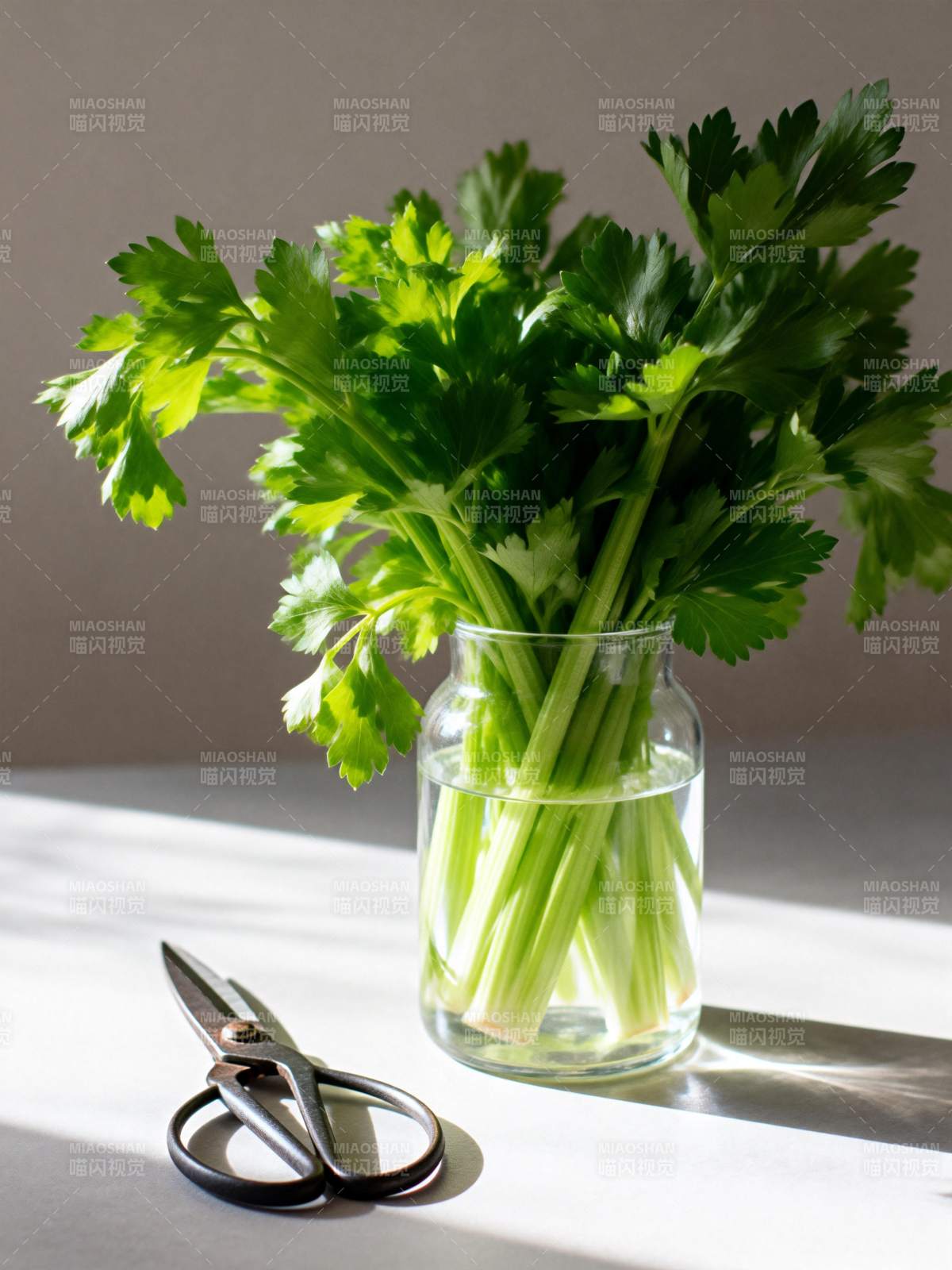 芹菜与剪刀静物图片