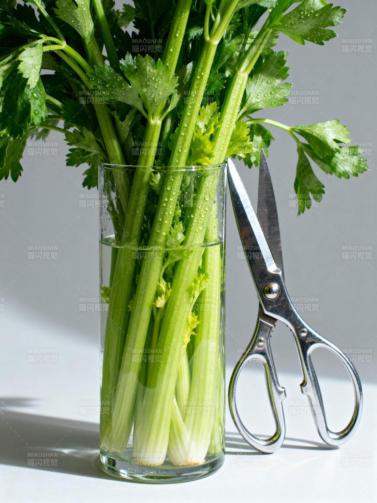 新鲜芹菜与剪刀图片