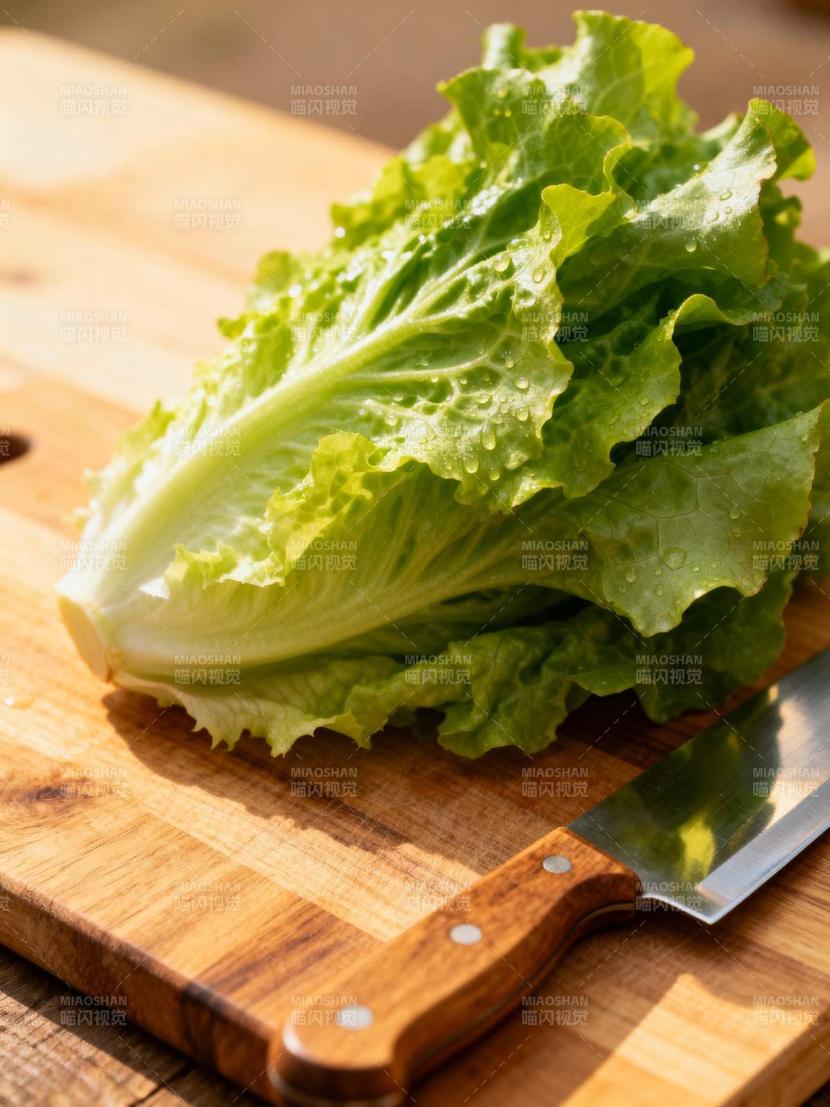 新鲜生菜切配中图片