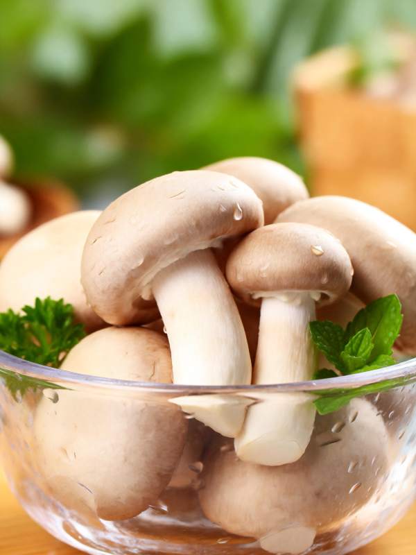 新鲜香菇配香草图片