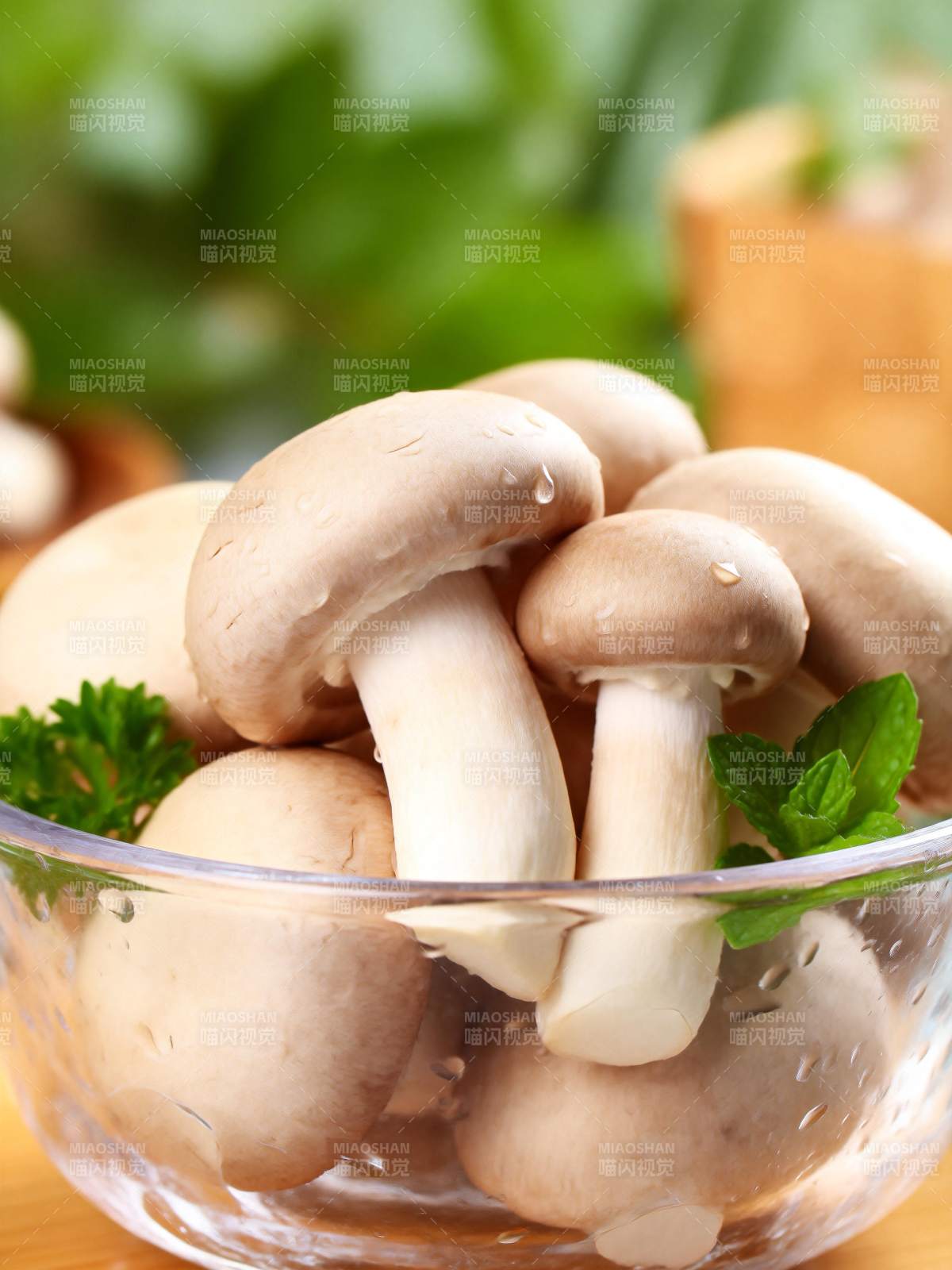 新鲜香菇配香草图片