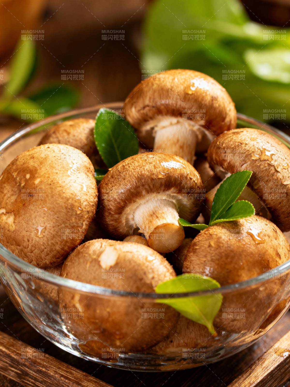 鲜嫩香菇配绿叶图片