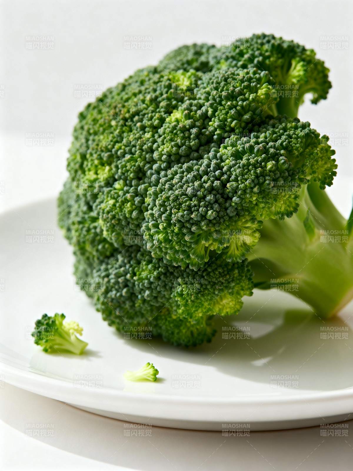 新鲜西兰花特写图片