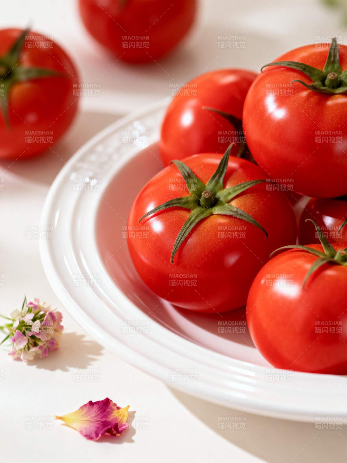 鲜红番茄静谧美图片