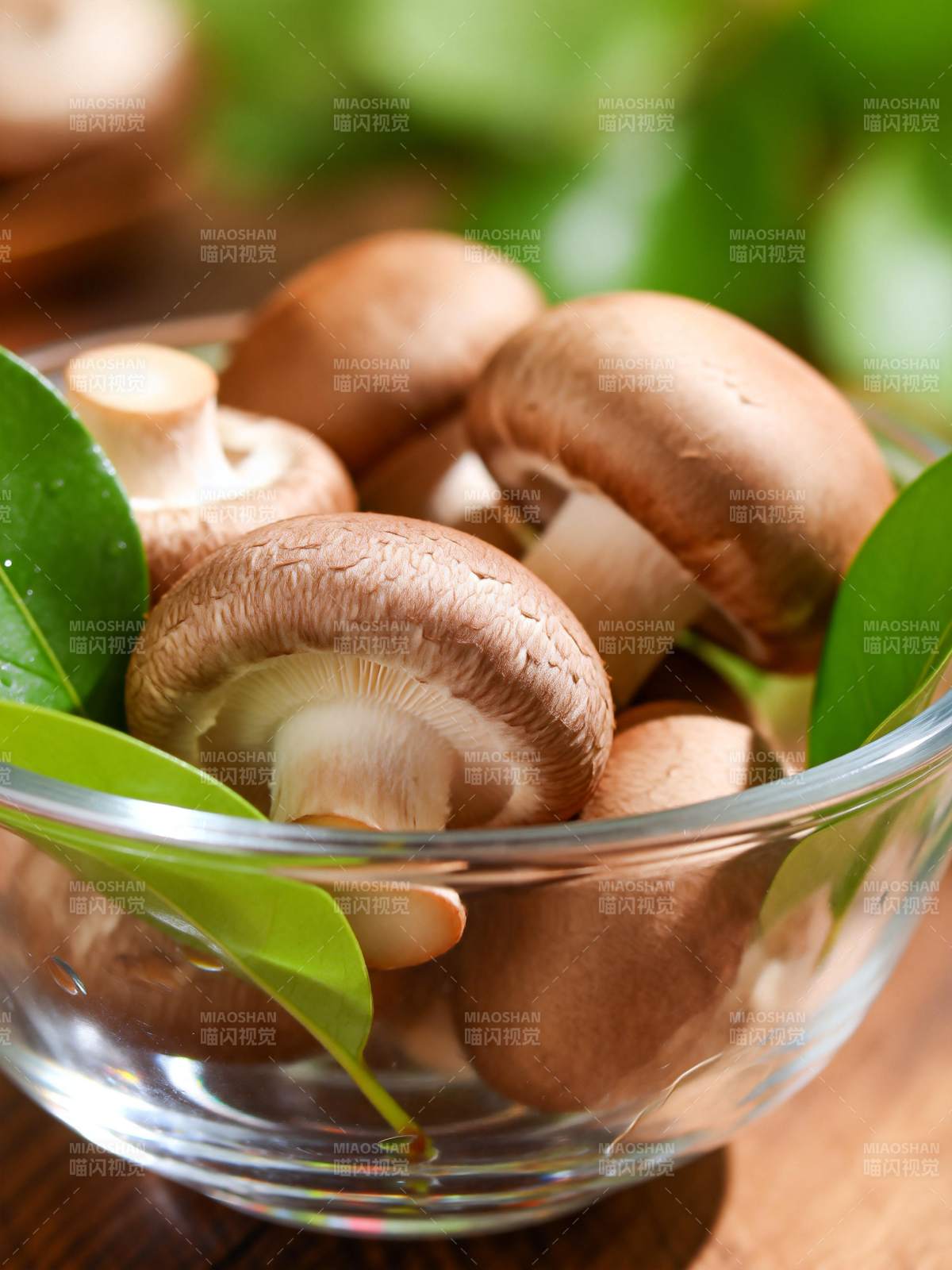 新鲜香菇绿叶相伴图片