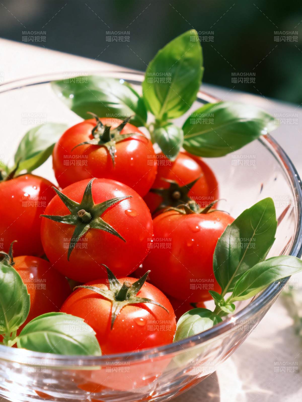 番茄与罗勒的邂逅图片