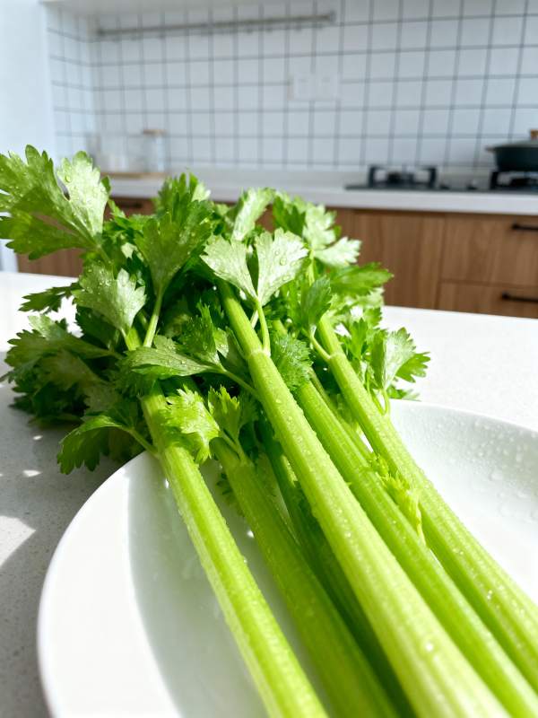 新鲜芹菜特写图片