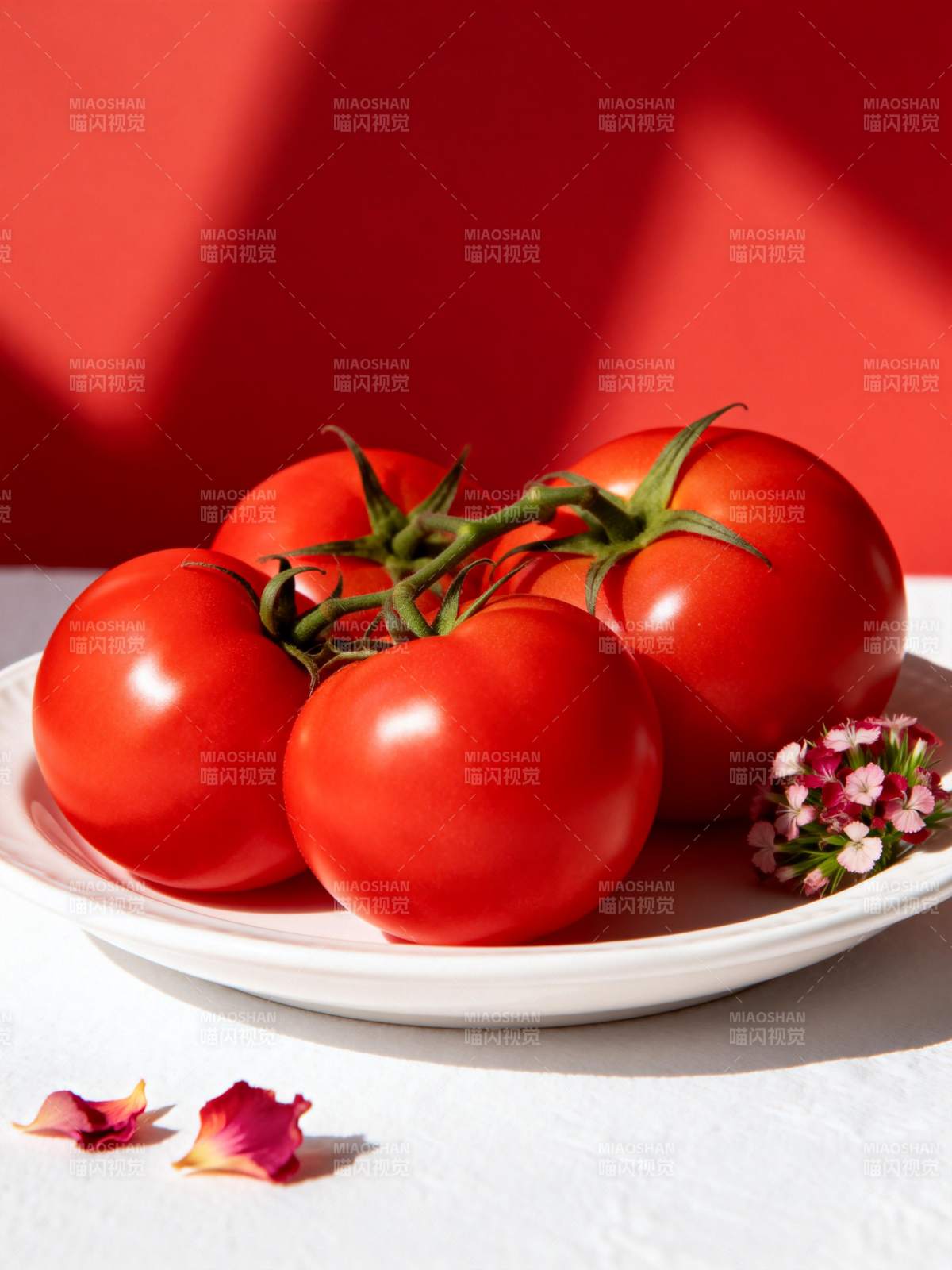 鲜红番茄静物图图片