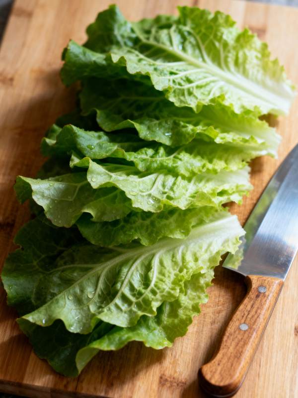 新鲜生菜切配中图片