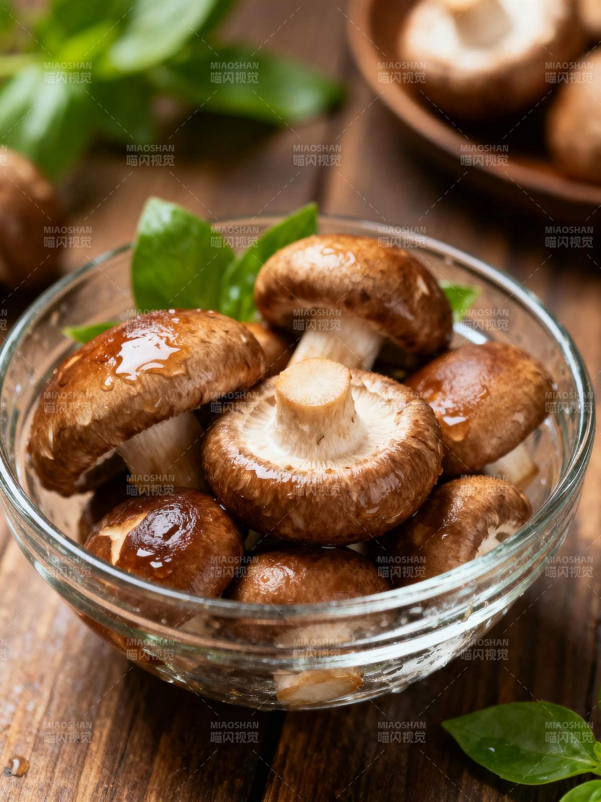 鲜美香菇特写图片