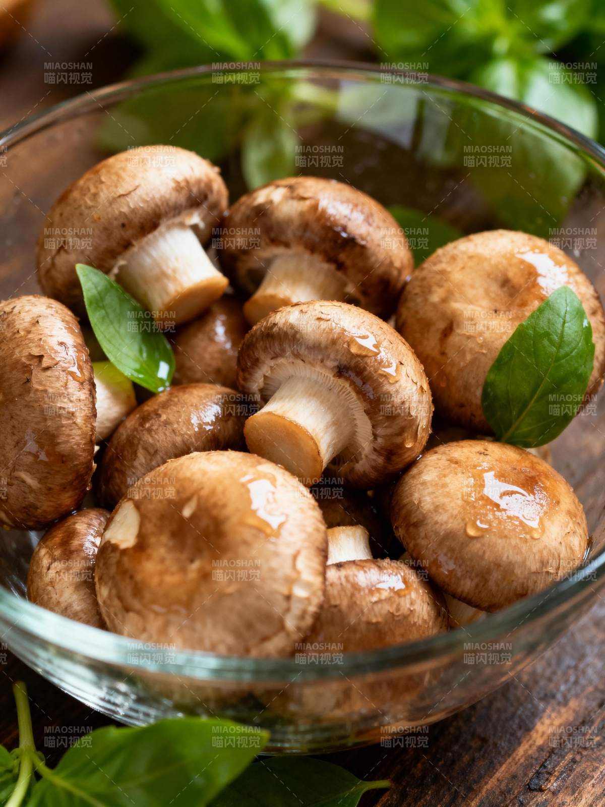 鲜嫩香菇配绿叶图片