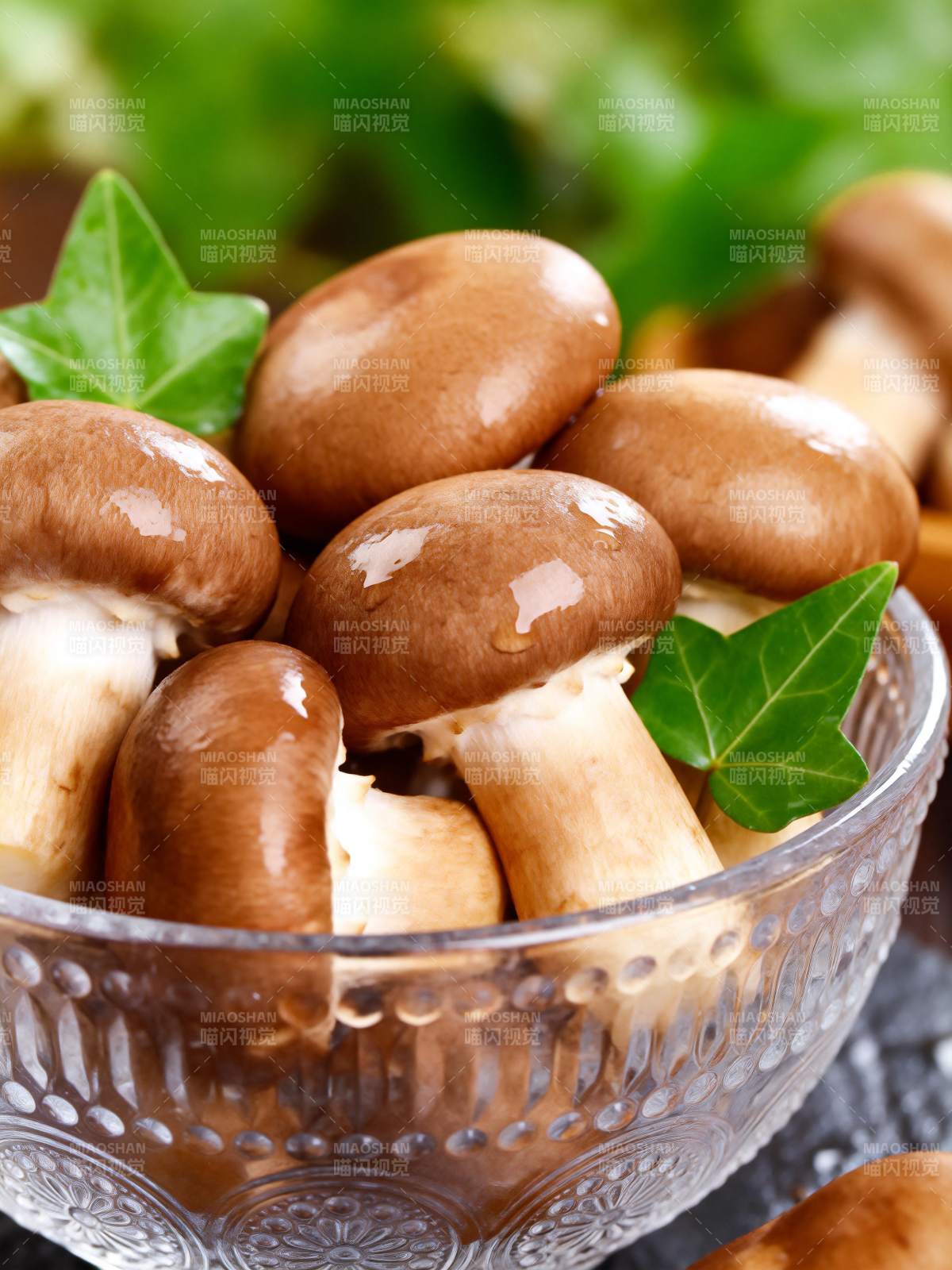 鲜嫩香菇特写图片