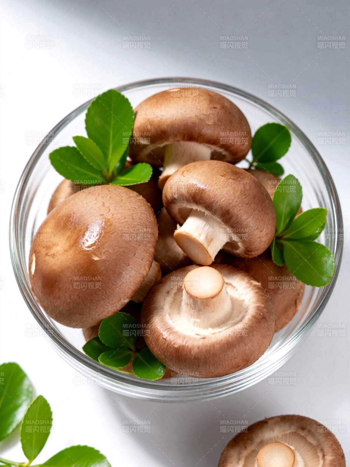 鲜嫩香菇配绿叶图片