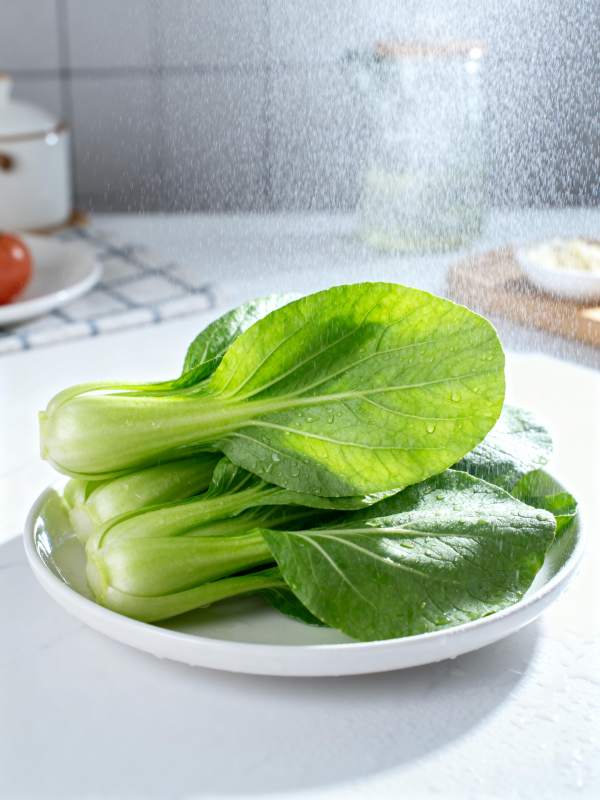 新鲜青菜淋水图片
