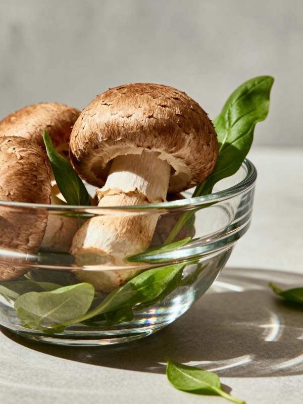 鲜菇绿叶静物图片