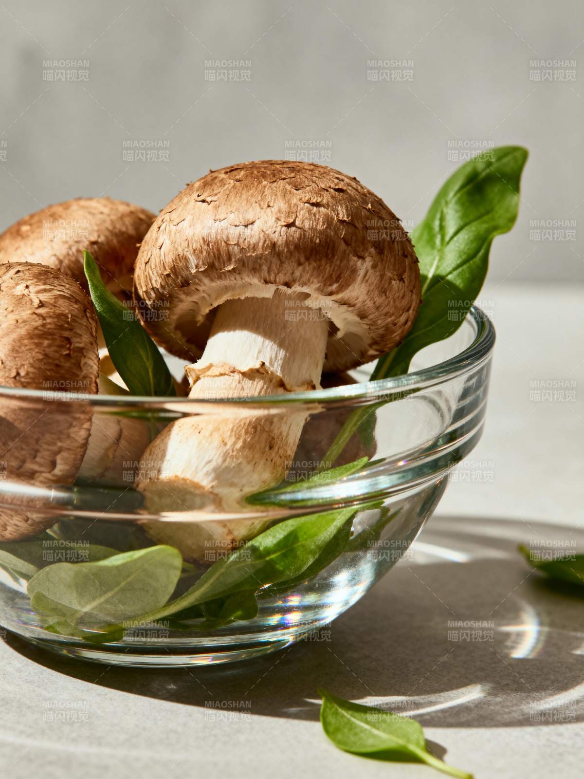 鲜菇绿叶静物图片