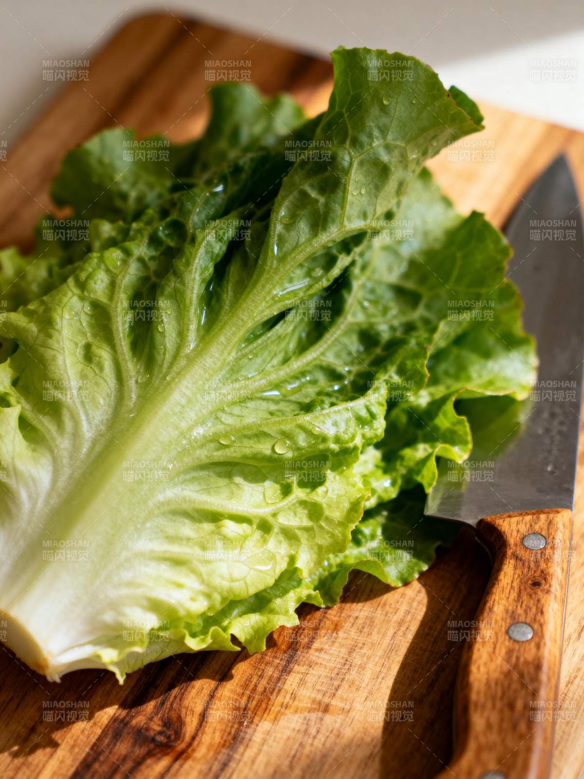 新鲜生菜切片准备图片