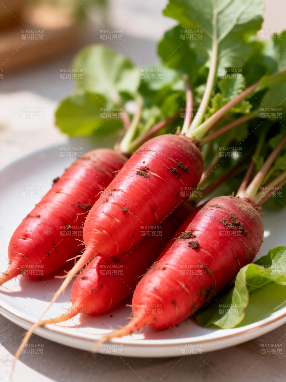 新鲜红萝卜图片