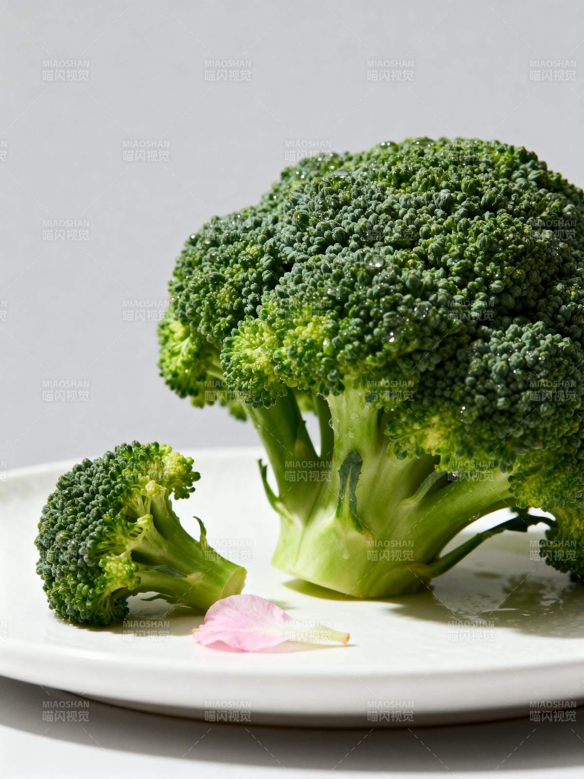 鲜嫩西兰花静置盘中图片