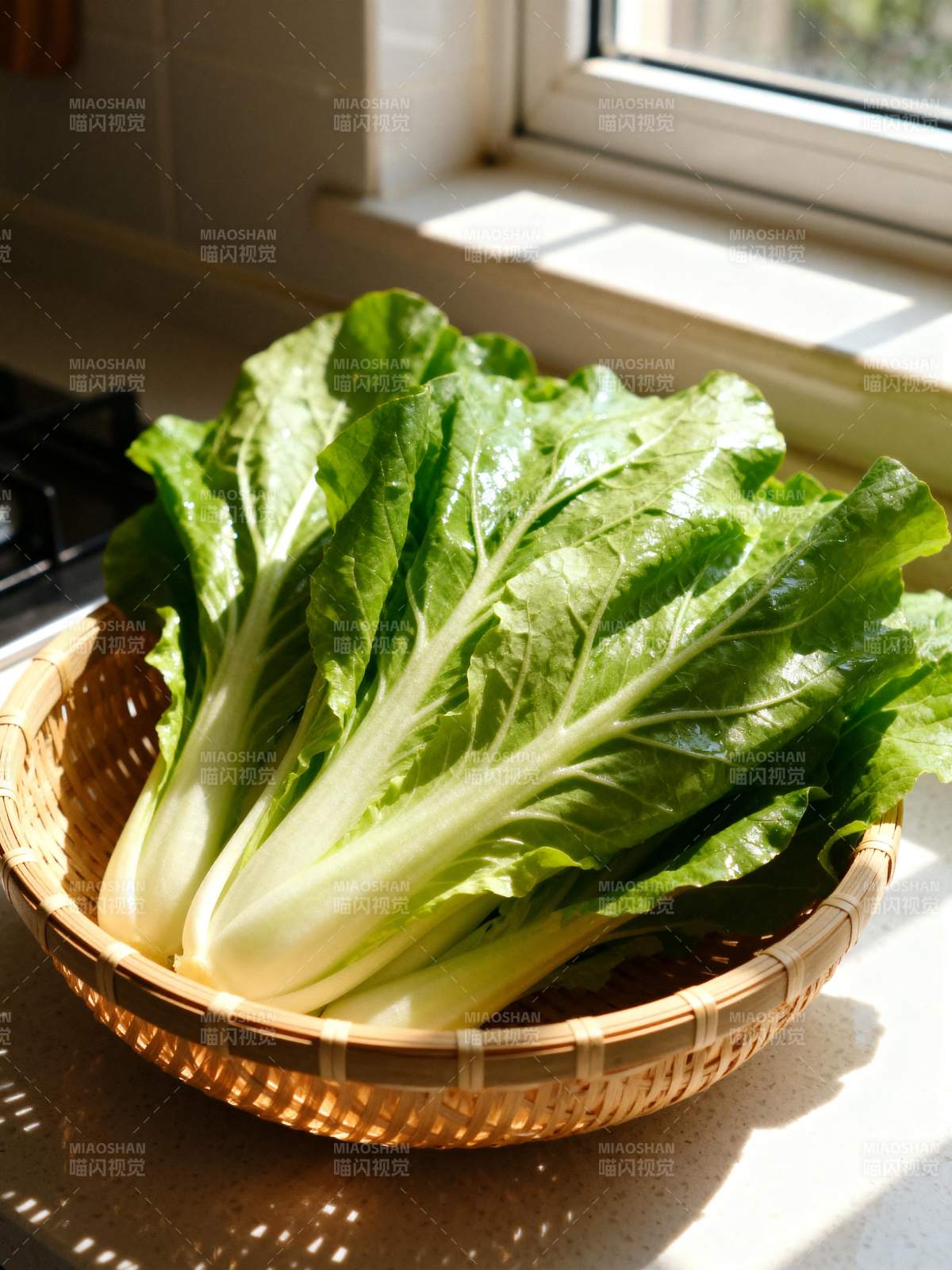 新鲜白菜静置窗边图片