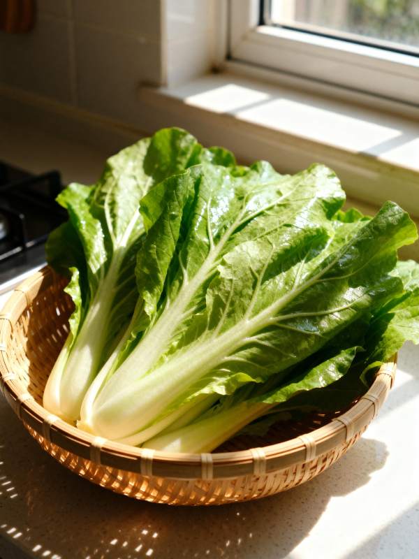 新鲜白菜静置窗边图片